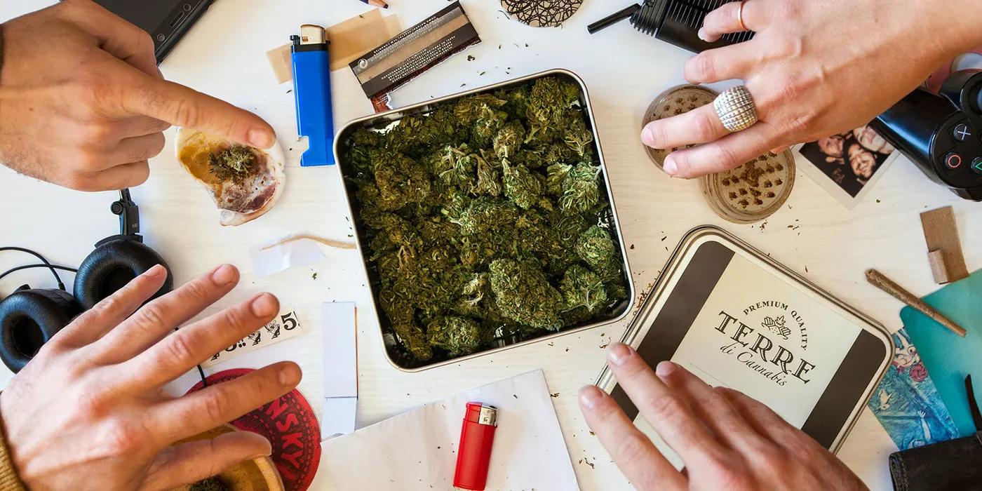 Hands arranging cannabis buds and rolling supplies on a table